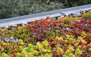 the cost of Cwm Head green roof installation